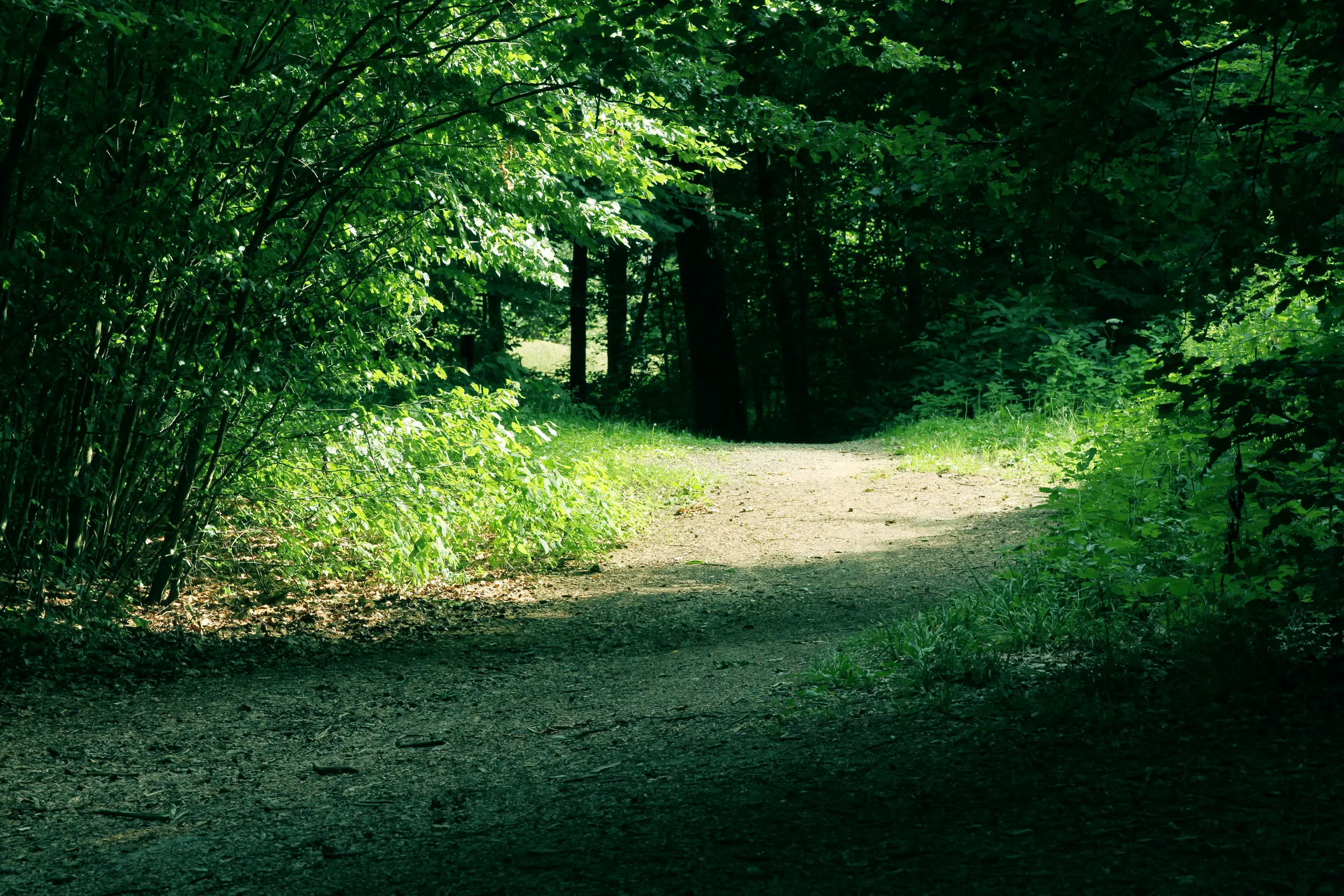 Grüner Weg